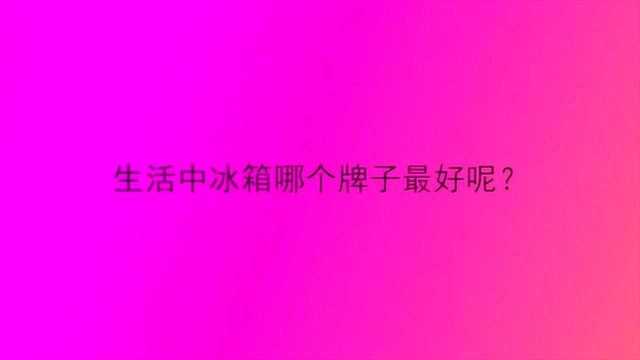 生活中冰箱哪个牌子最好呢?