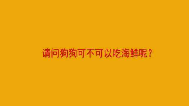 请问狗狗可不可以吃海鲜呢?