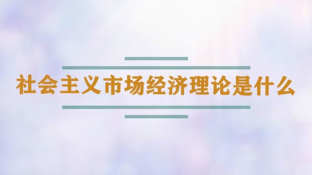 社会主义市场经济理论是什么