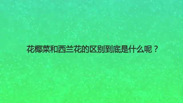 花椰菜和西兰花的区别到底是什么呢?