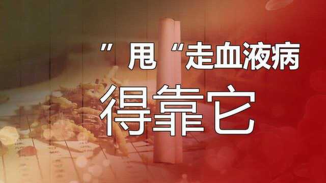 甩不掉的血液病“真红”,还在忍受化疗之苦吗?中医有这么好的办法!