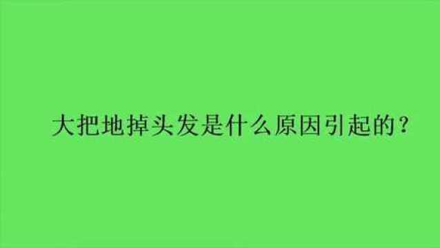 大把地掉头发是什么原因引起的?