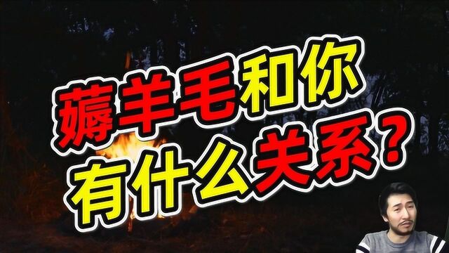 被路人a这样的薅羊毛团伙害死的五皇冠卖家谈谈血泪史