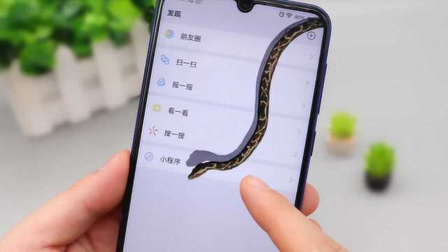 教你手机微信里设置一条蛇,一有人看你微信就会爬出来,特别好玩