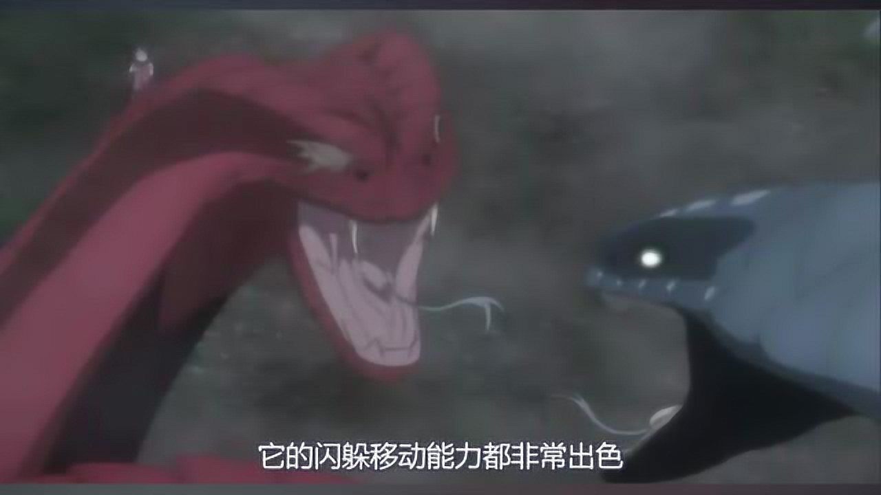 火影三代大蛇初代万蛇与青蛇辛牙相比谁才是蛇中之王