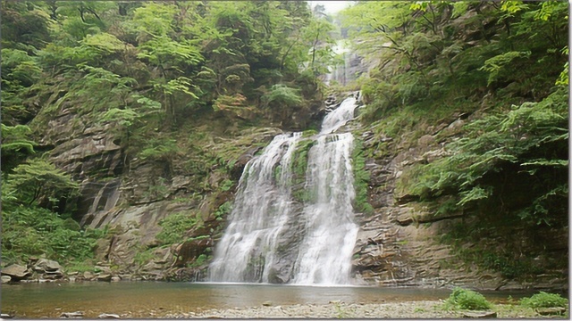 藏在雷公山40年未被发现,体型庞大,学人直立行走??