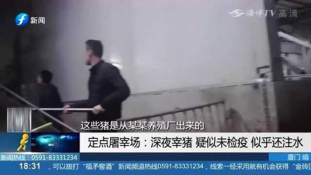 深夜一屠宰场深夜宰猪 工作人员既宰猪又盖检疫戳 视频曝光全过程!