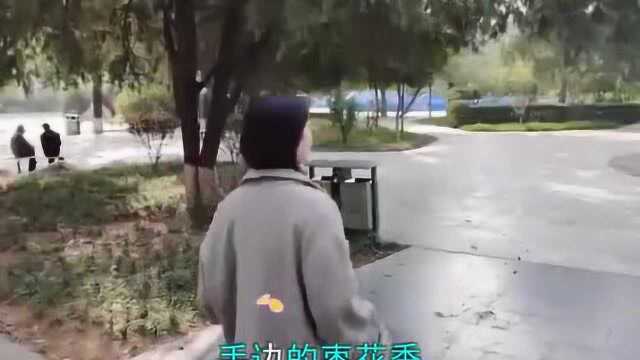 经典音乐,一首《红高粱》唱出别样风情,勾起多少回忆