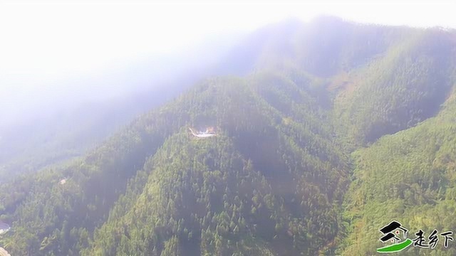 带你去看广东十大名古墓之台山黄氏宋代一品地通天烛又名仙人大座