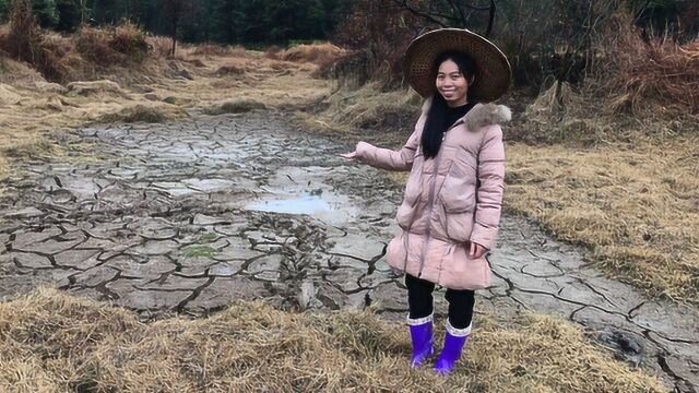 江西农村半年没下雨,这几天终于下雨了,姑娘为农民伯伯高兴