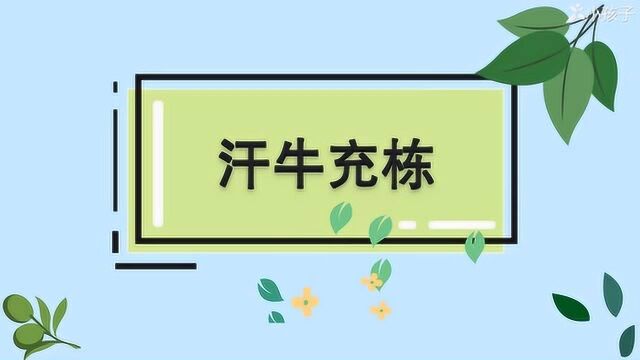 一分钟了解汗牛充栋的出处、释义、近反义词