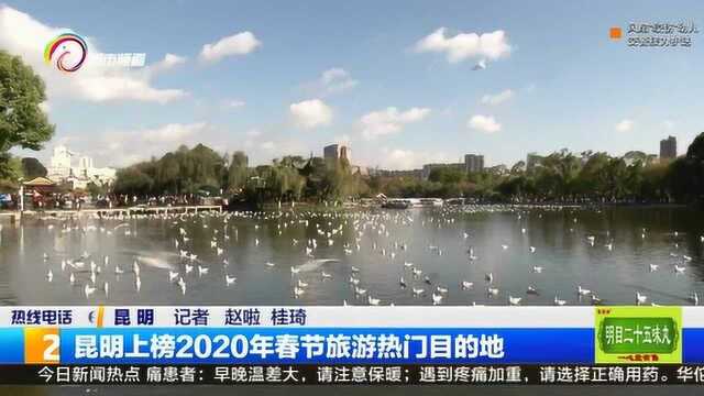 昆明上榜2020年春节旅游热门目的地