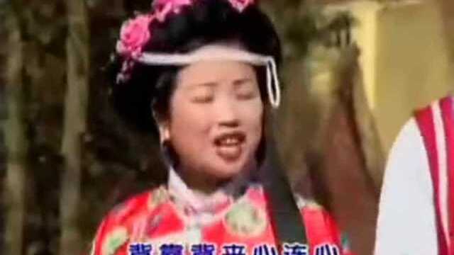 云贵山歌 村头榕树绿荫荫!哥在树脚盼知音!