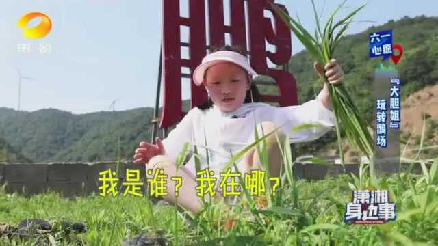 《潇湘身边事》之大胆姐玩转鹅场2 湖南电影频道!