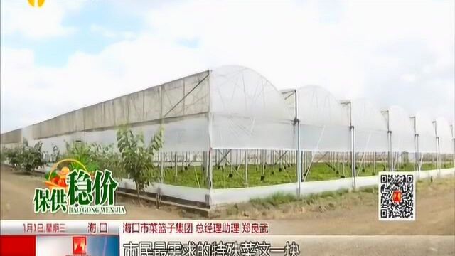 保供稳价:加大生产 岛外调运 “菜篮子”多措并举