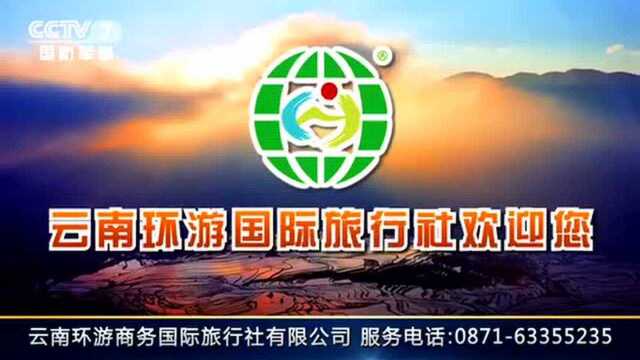 一二传媒:央视广告投放 电视台广告投放