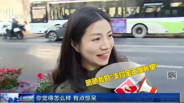 支付宝年度账单出炉 网友纷纷诧异:我哪来这么多钱?