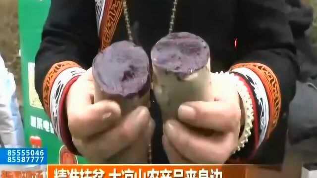 为更好的精准扶贫 大凉山特色农产品年货登陆成都