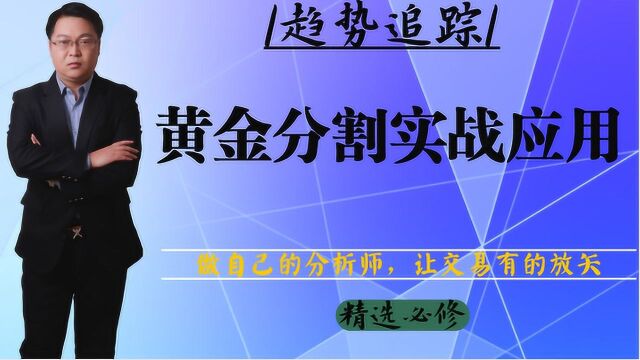 【星雅龙工作室实战交易精选系列课】黄金分割的实战应用解析