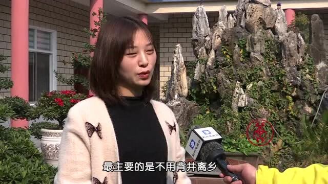 松滋:工业强市生态立市“两全齐美”!