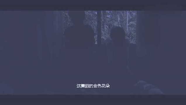 亦真亦幻:夜晚两姐弟对着月光唱曲,歌声清脆悠扬!