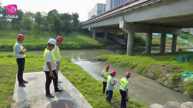 《龙岗新闻》坪地街道以“七个第一”提交水污染治理答卷