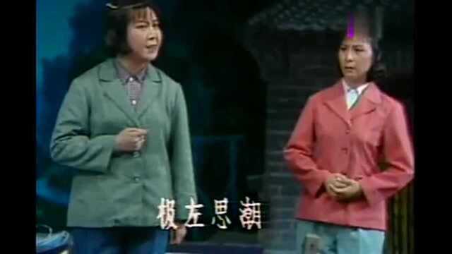 魏云这段豫剧《朝阳沟内传》一个娘生的儿!真好听!