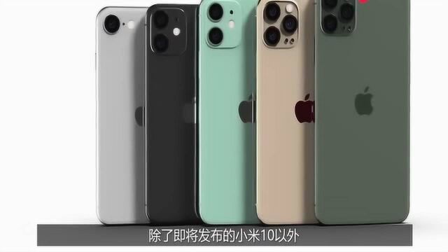 2999起?苹果iPhone 9正式预售,网友:小屏党的福音到了!