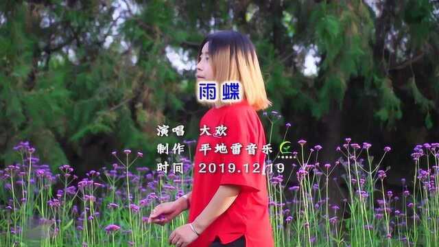 大欢的一首《雨蝶》