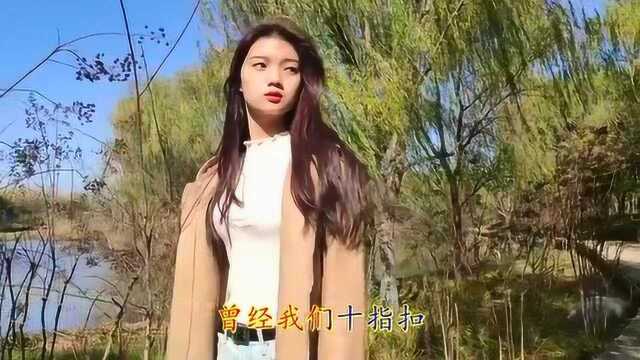 一首苦情歌曲《为你一生去守候》歌词唯美,愿你一直快乐