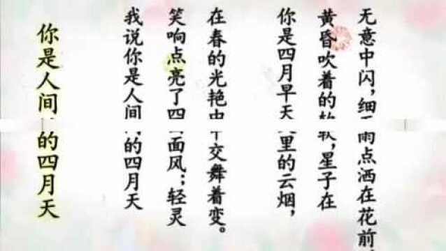 林徽因《你是人间的四月天》