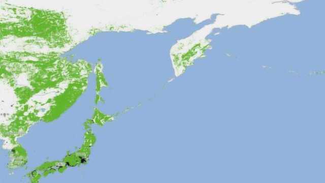 科学家公布地球森林覆盖面积图像,中国在好转,亚马逊雨林在缩减