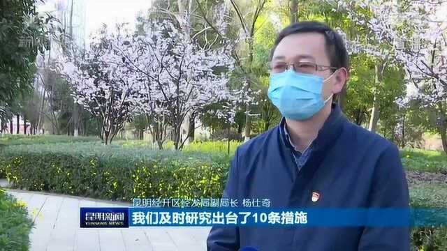 云南自贸试验区昆明片区出台十条措施 助力企业复工复产