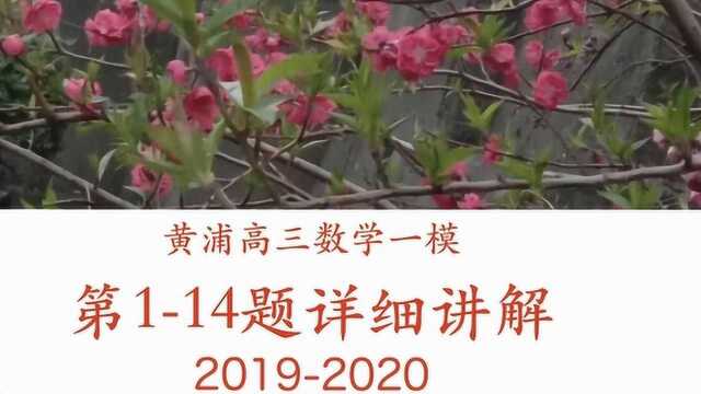 上海黄浦高三数学一模(一)114题详细讲解20192020