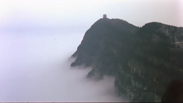 百年好合:飞虎舍身救王凤,为她挡了一剑,大师姐的病也好了