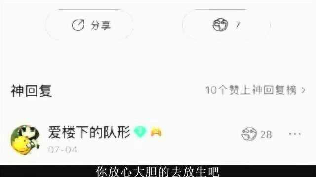 搞笑视频合集兄弟这发型,本是同根生相煎何太急