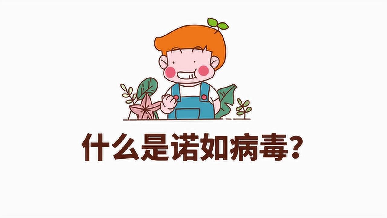 科普视频:什么是诺如病毒?