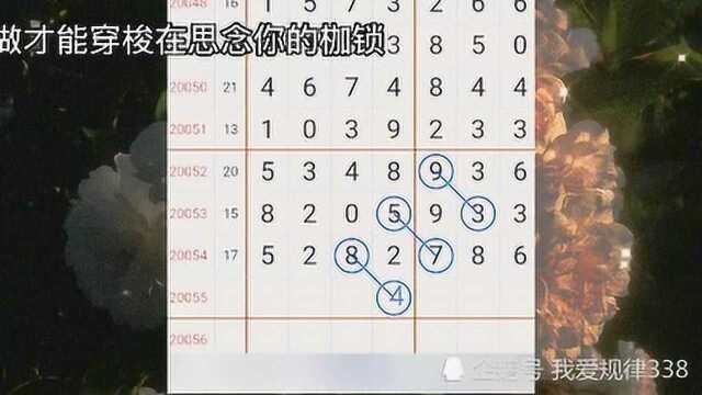 20055期七星彩规律参考