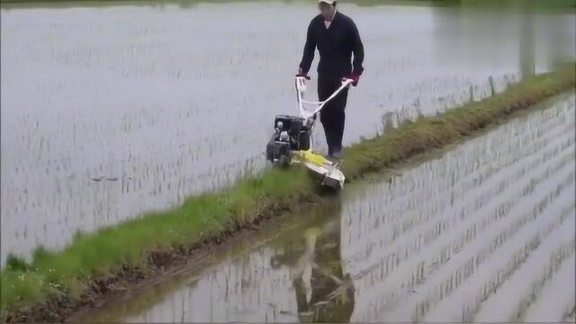 小型手扶式迷你拖拉机,田埂除草作业,方便又适用