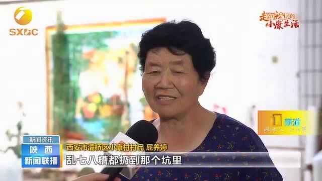 【走向我们的小康生活】西安灞桥区:乡村新“颜值”幸福新生活