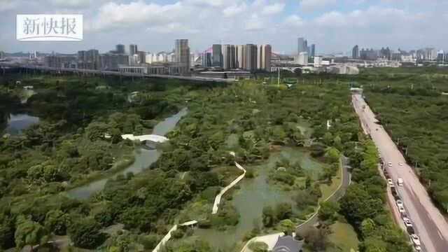 广州:打造最美城央湿地——海珠湿地三期开园