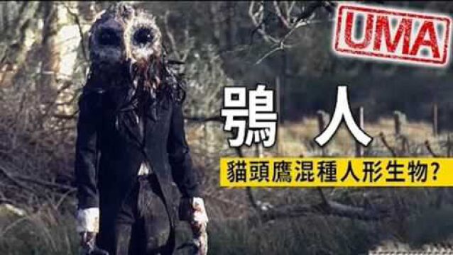 【UMA档案】英国民间传说故事鴞人猫头鹰人型生物,Owlman