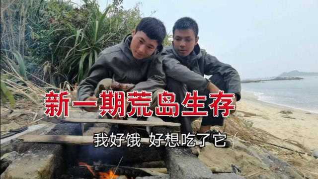 新的一期荒岛生存正式开始全集(户外平头哥)