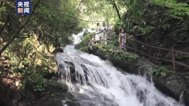 广西临桂着力发展乡村生态游 助力村民就业增收