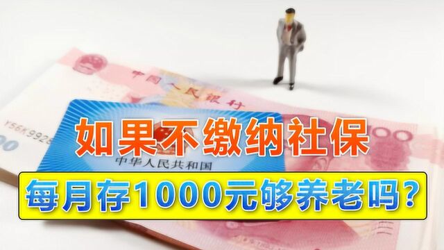 如果不缴纳社保,每月往银行里存1000元,存20年可以养老吗?