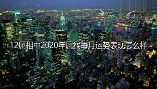 属猴的人在2020年运势全面分析!