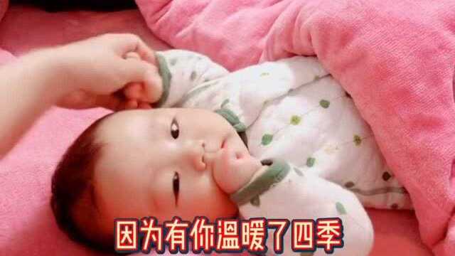 新鲜的小袁给大家奉上了