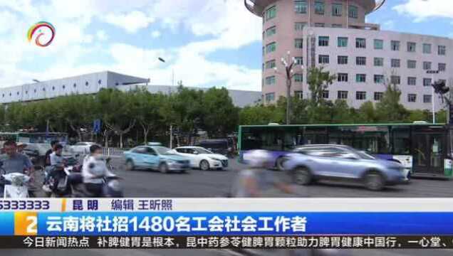 云南社招1480名工会社会工作者