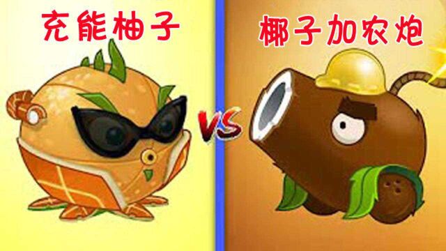 植物大战僵尸PVZ2:充能柚子VS椰子加农炮,爆发力都不错