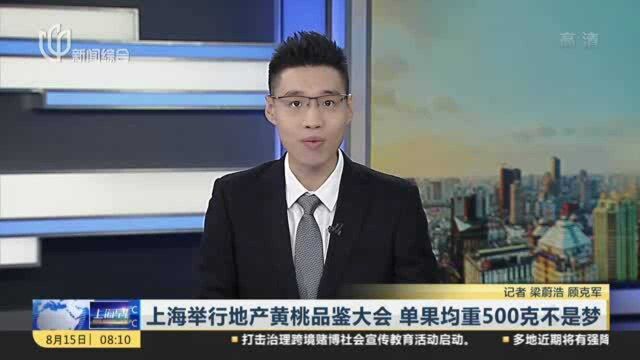 上海举行地产黄桃品鉴大会 单果均重500克不是梦